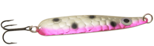 Rose avec points noir